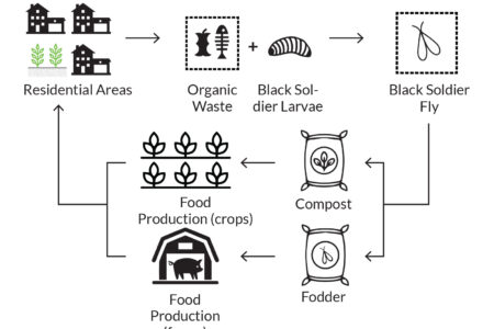 Food-Waste-Insect-Protein-Tanks-b