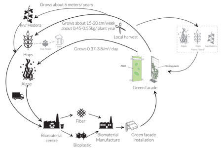 Greening-up-the-city-c
